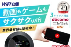 ポケットWiFi即日発送！はじめてのレンタル徹底比較
